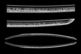 sword tumi