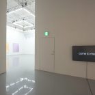 Stella image-1 20161110