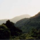 KP_Print_02.tif