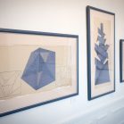 hamano image-3 20160905