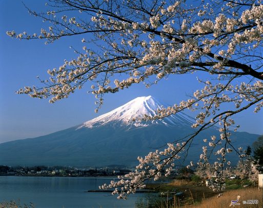 Japan, Fuji, Scholarships