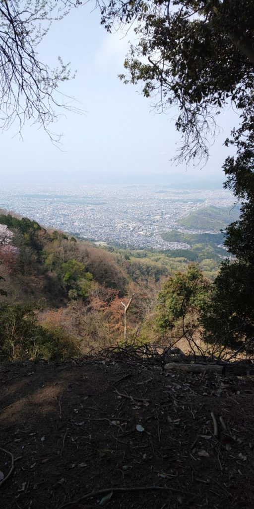 Kyoto Alex Thacker