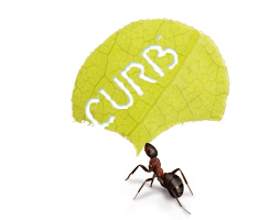 An ant holding the CURB logo cut out of a leaf